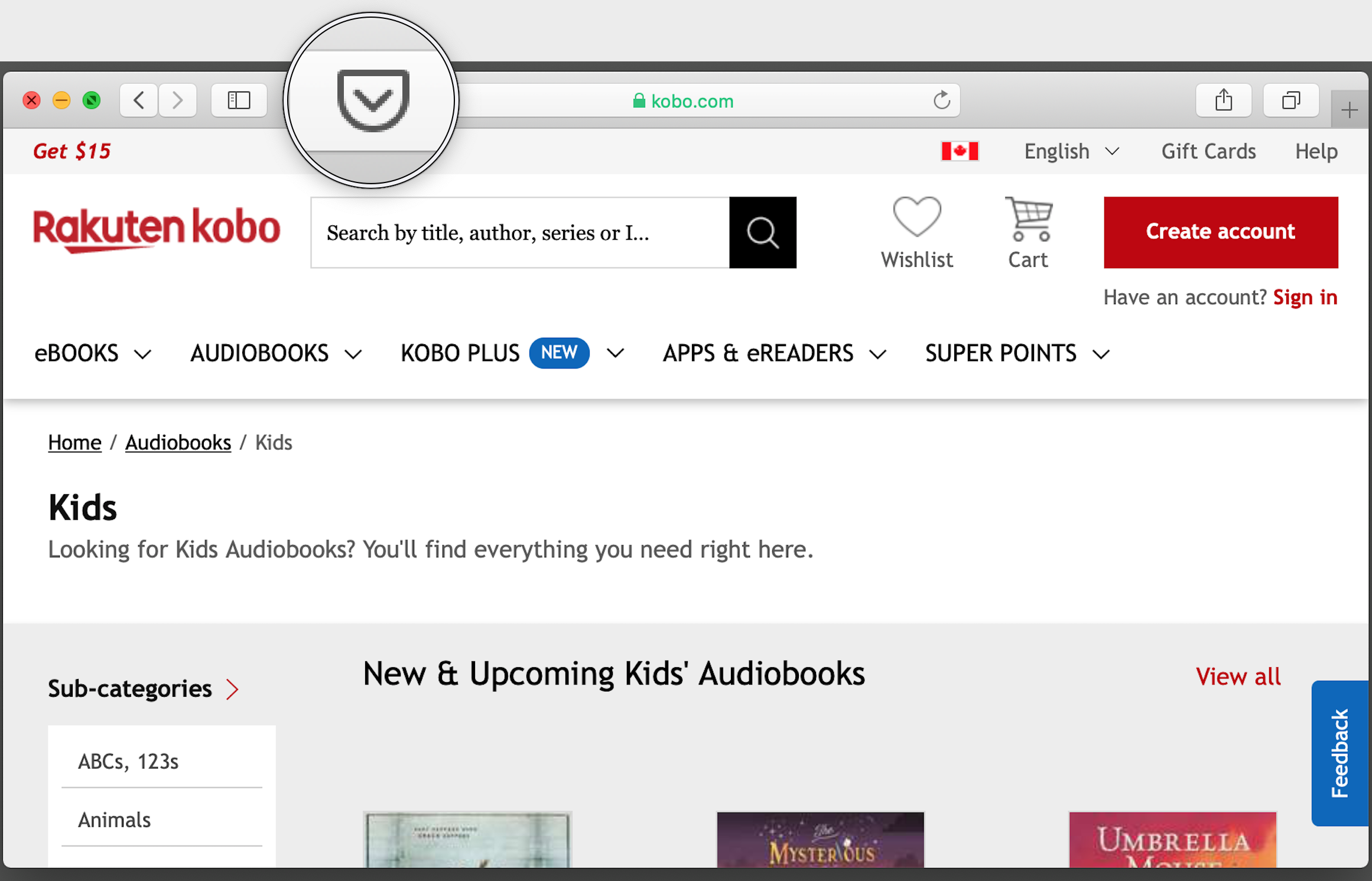 Google Chrome browser with the Pocket icon highlighted in the toolbar.